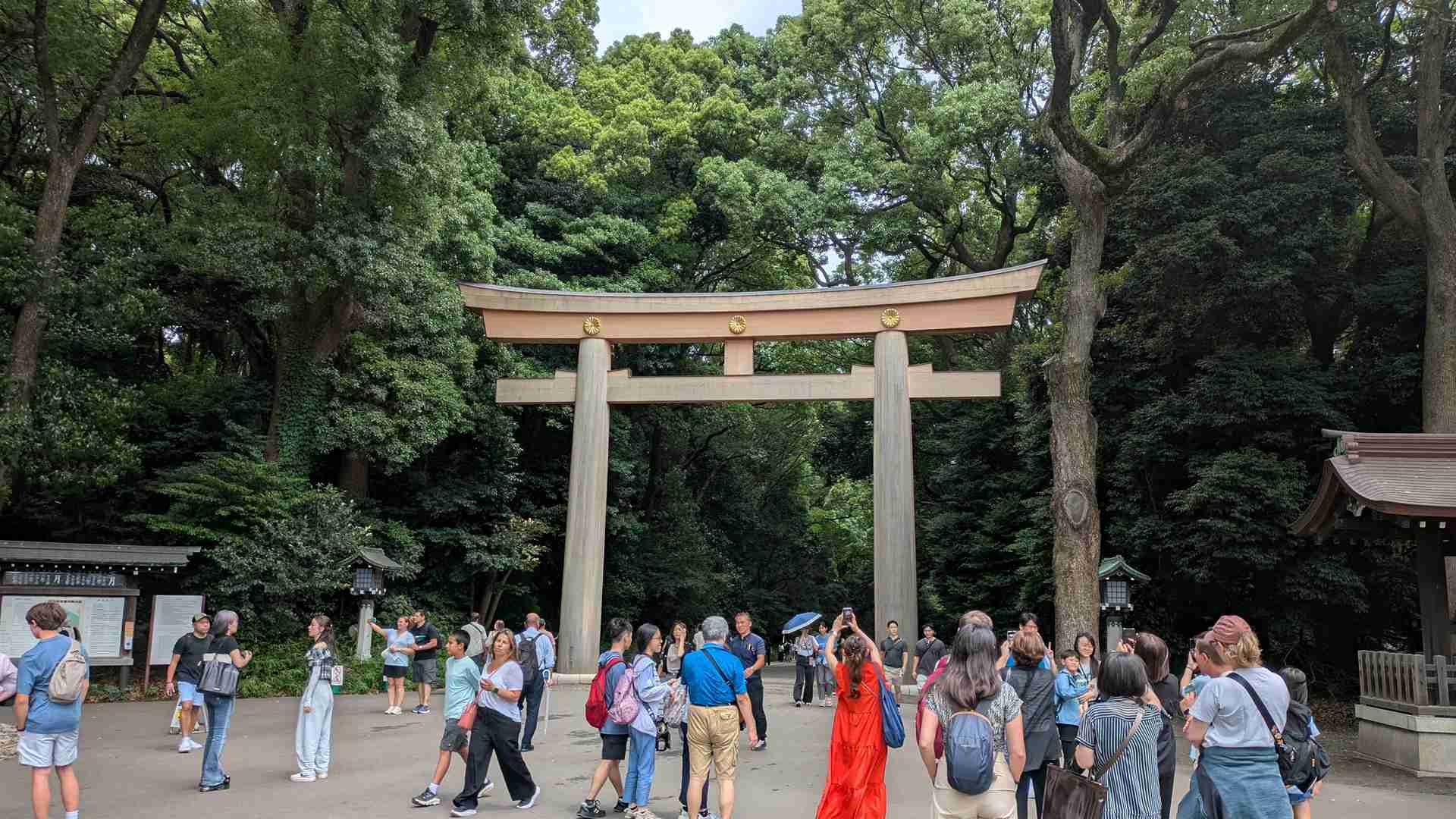 About Your Guide Image